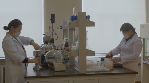 Монгол орны эмийн ургамал устаж үгүй болох эрсдэл өндөр байна 